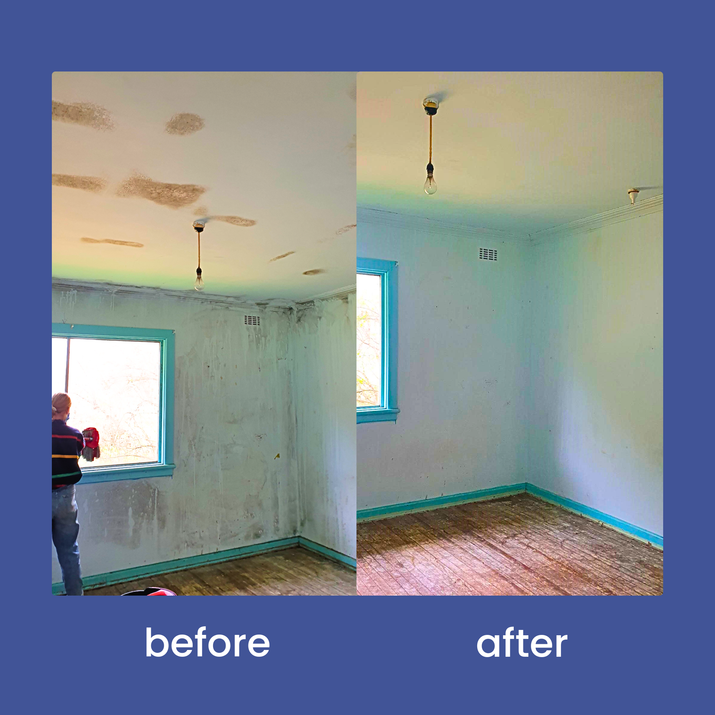 Vm3Zero® Mould Fighter Pack