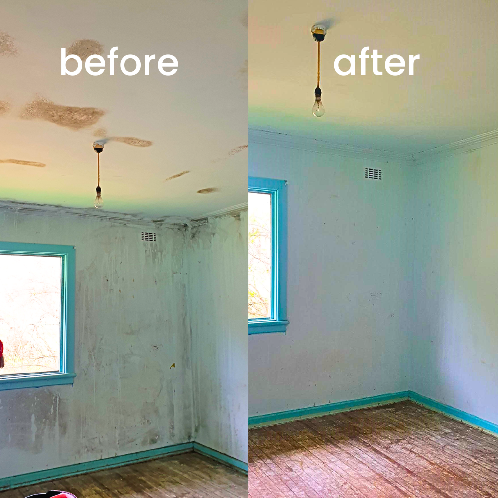 Before and after — wall-to-ceiling mould removed using Vm3Zero Mould Control System