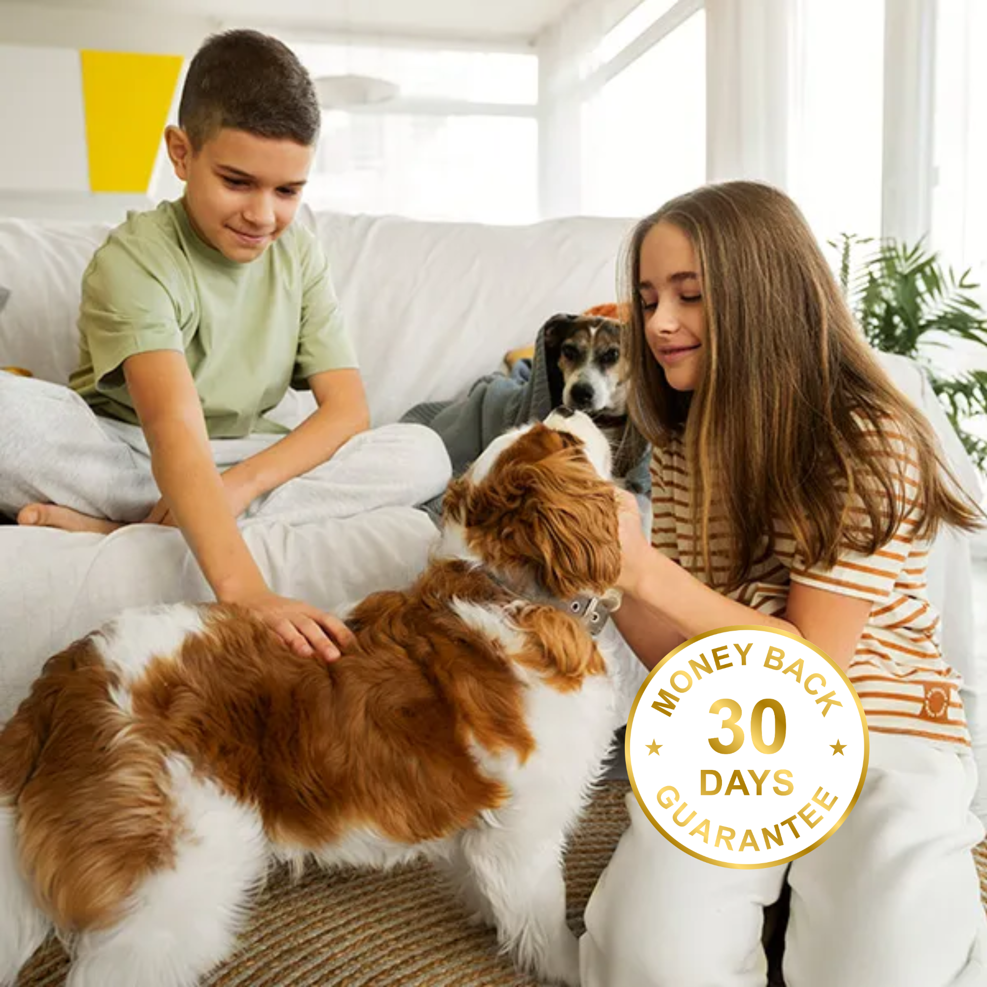 Family with pets — safe home environment with Vm3Zero Mould Fighter Spray
